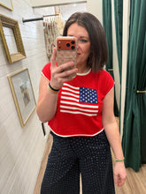 Load image into Gallery viewer, Land of The Free Sweater Vest
