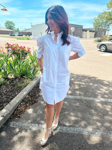Callie Pinstripe Shirt Dress