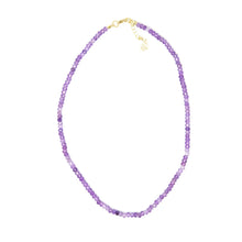 Load image into Gallery viewer, February 16 Inch Necklace
