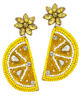 Fruity Slice Earrings