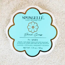 Load image into Gallery viewer, Spongelle Daisy Buffer Soaps

