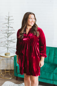 Holly Berries Velvet Dress